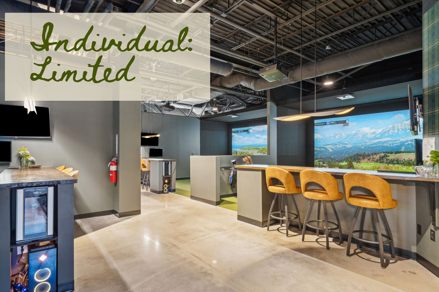 Individual: Limited